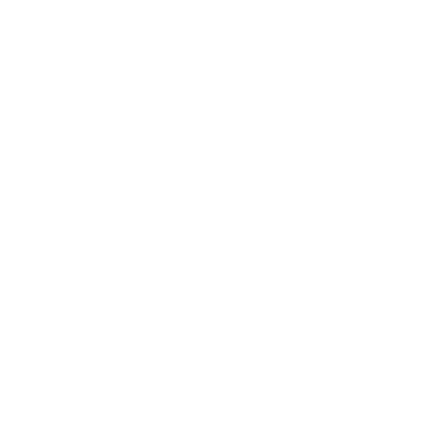 SION SPORT 